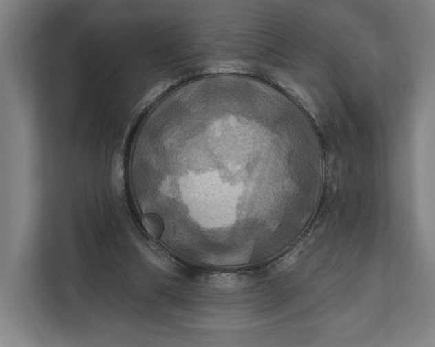 X0000112030298200908171456