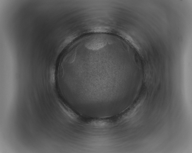 X0000112030299200908171456