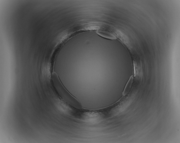 X0000112030300200908171456