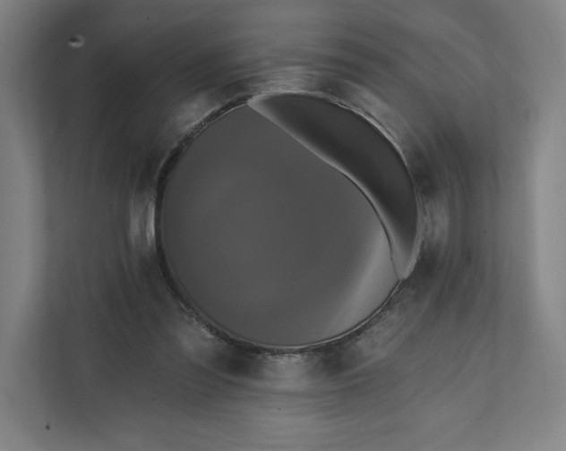 X0000112030301200908171456
