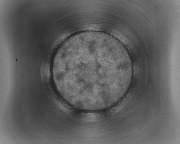 X0000112030302200908171456