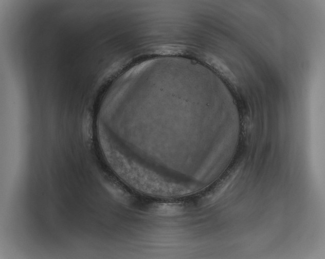 X0000112030303200908171456