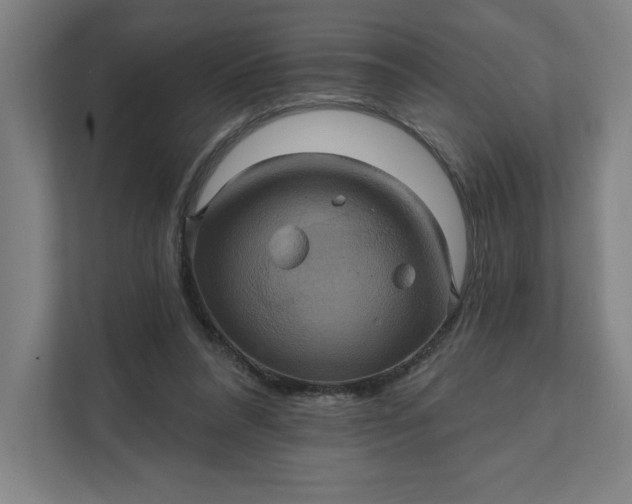X0000112030304200908171456