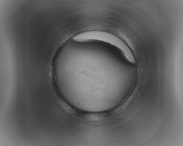 X0000112030305200908171456