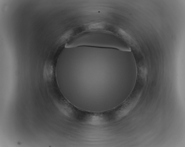 X0000112030308200908171456
