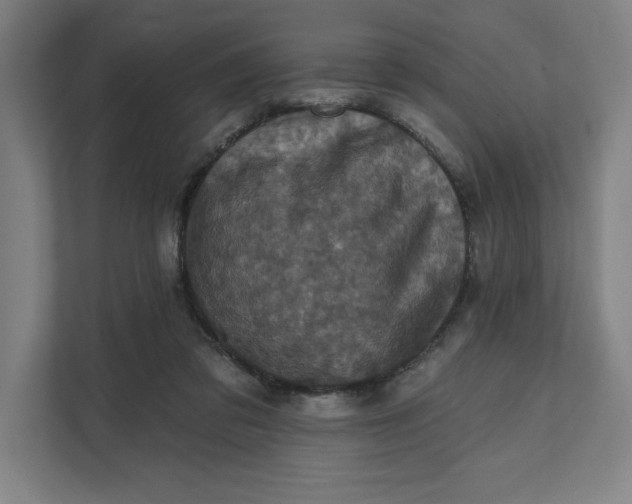 X0000112030309200908171456
