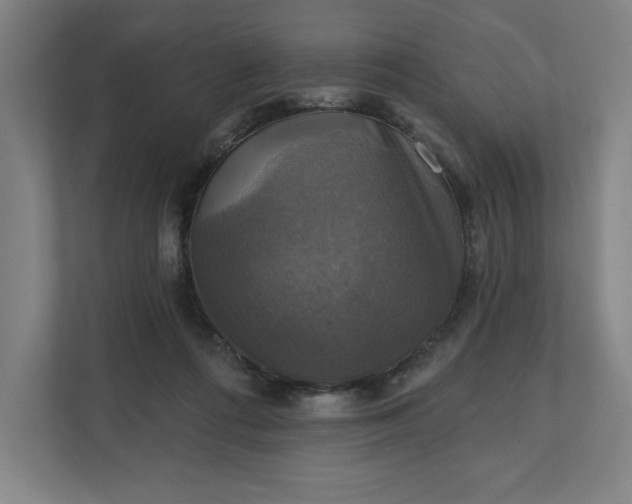 X0000112030312200908171456