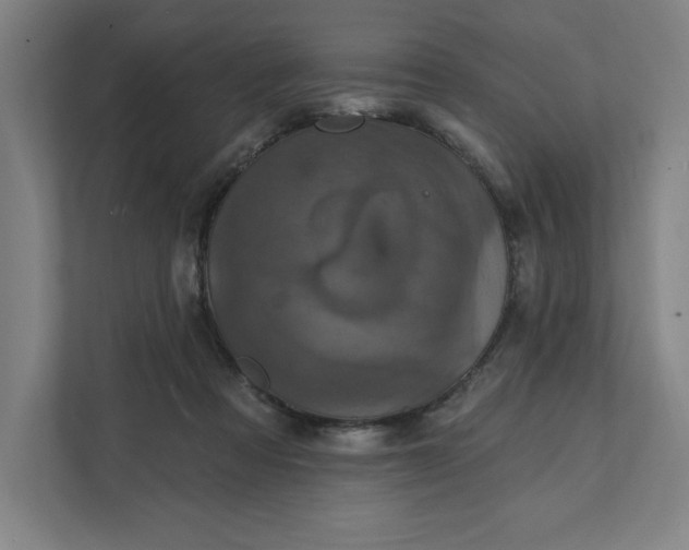 X0000112030313200908171456
