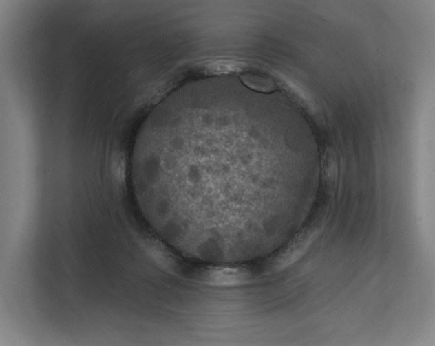 X0000112030315200908171456