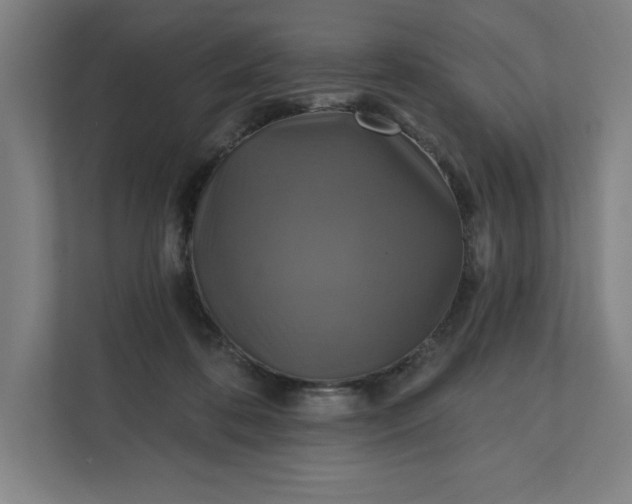 X0000112030316200908171456