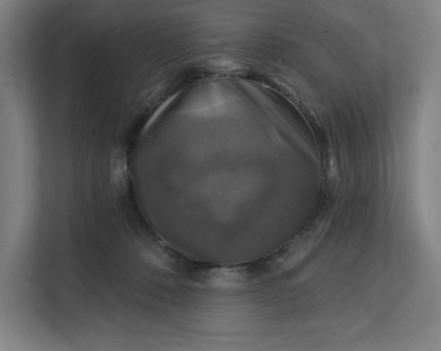 X0000112030320200908171456