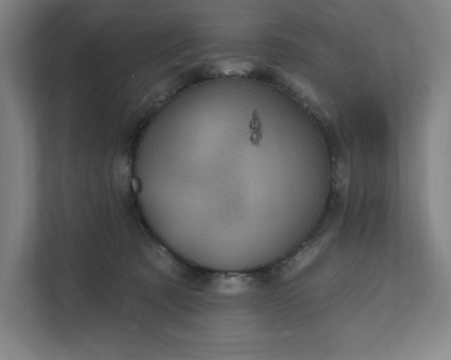 X0000112030321200908171456