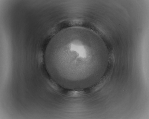 X0000112030323200908171456