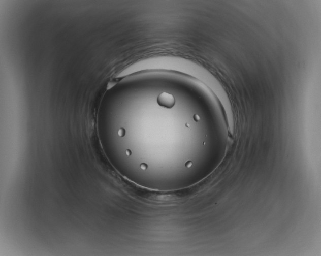 X0000112030324200908171456