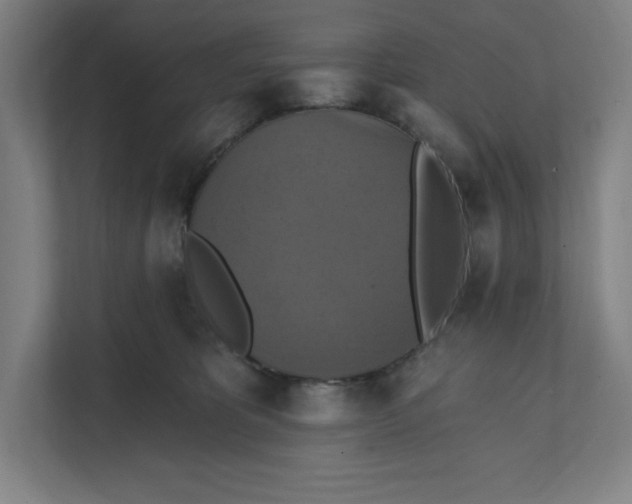 X0000112030325200908171456