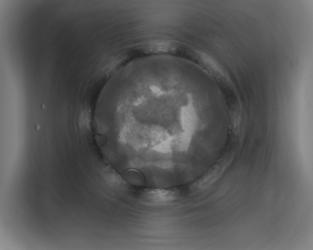 X0000112030326200908171456