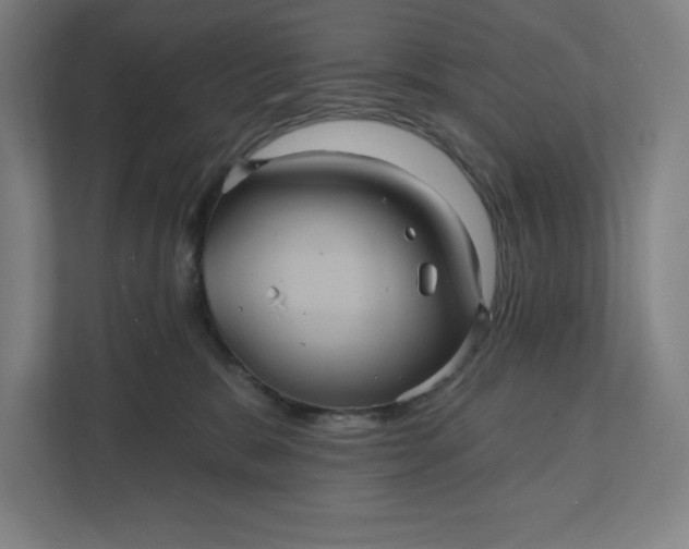 X0000112030327200908171456