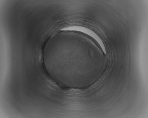 X0000112030328200908171456