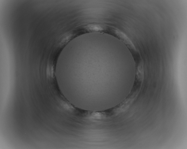 X0000112030330200908171456