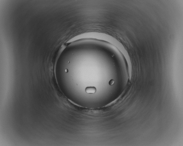 X0000112030332200908171456
