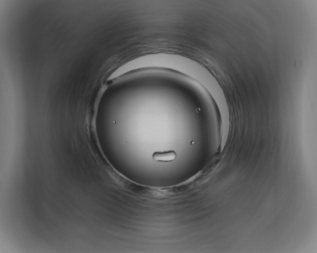 X0000112030333200908171456