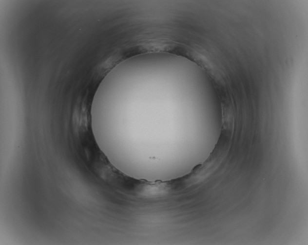 X0000112030334200908171456