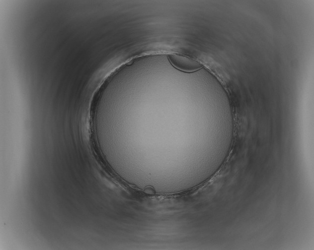 X0000112030338200908171455