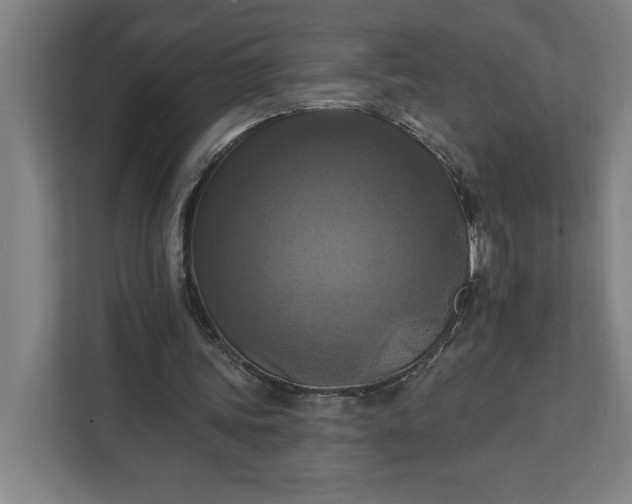 X0000112030339200908171455
