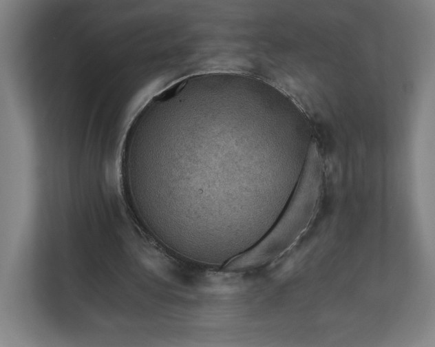 X0000112030340200908171455