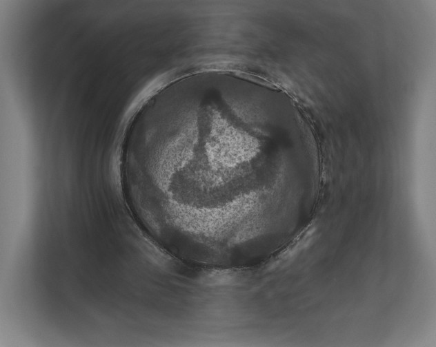 X0000112030341200908171455