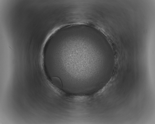 X0000112030342200908171455