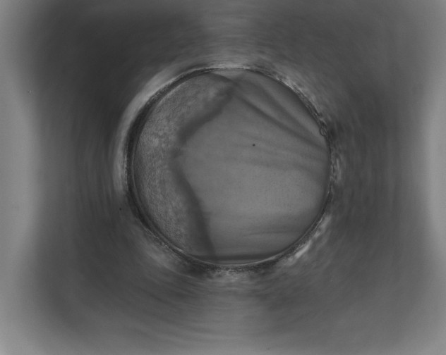 X0000112030343200908171455