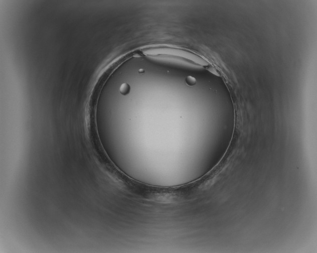 X0000112030344200908171455