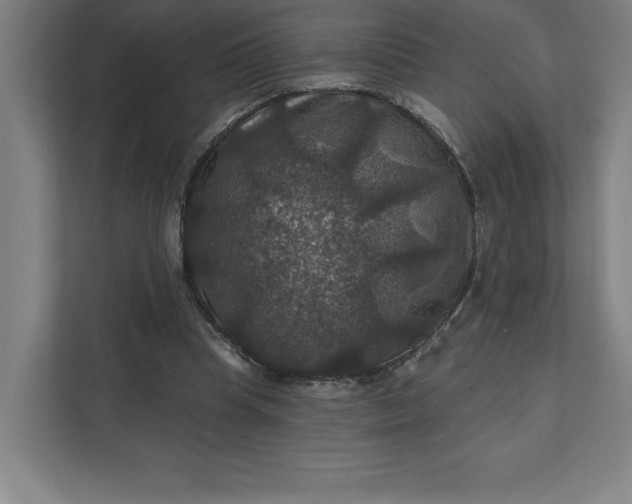 X0000112030345200908171455
