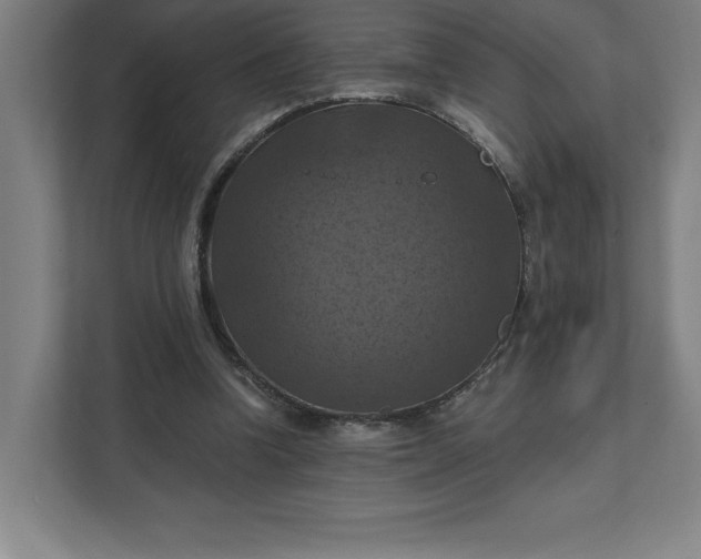 X0000112030346200908171455