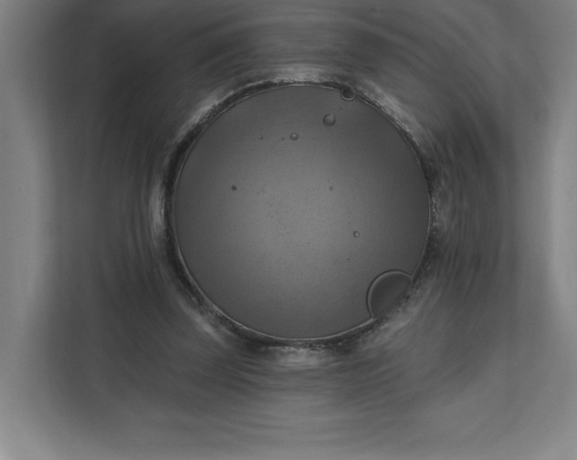 X0000112030347200908171455