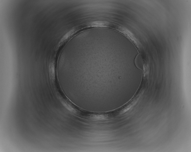 X0000112030349200908171455