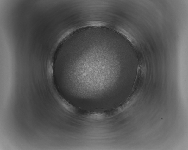 X0000112030350200908171455