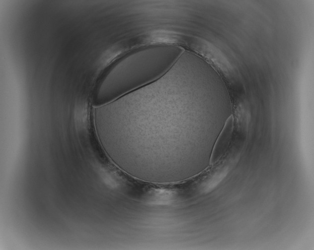 X0000112030352200908171455