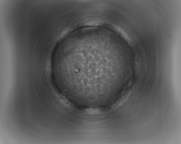 X0000112030354200908171455