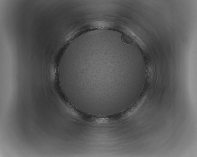 X0000112030355200908171455