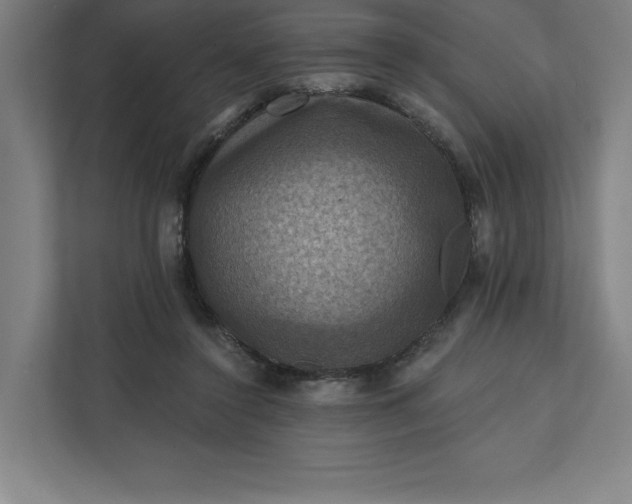 X0000112030356200908171455