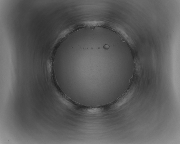 X0000112030357200908171455