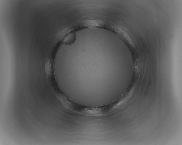 X0000112030359200908171455
