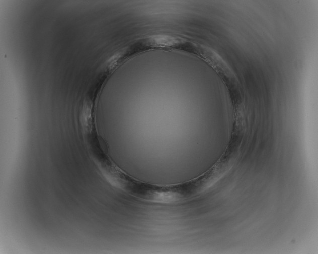 X0000112030360200908171455