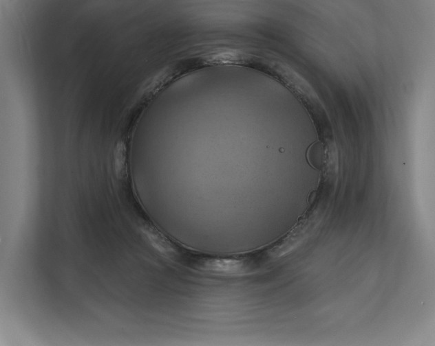 X0000112030361200908171455