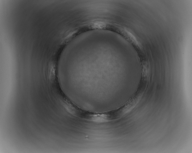X0000112030363200908171455