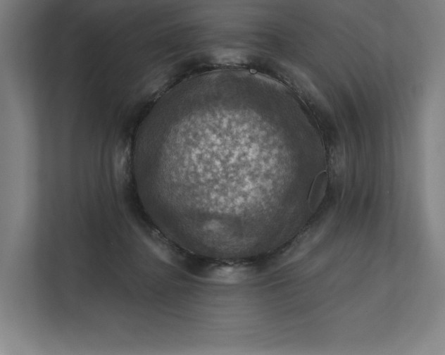 X0000112030364200908171455