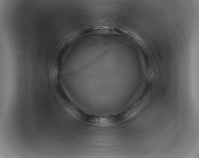 X0000112030365200908171455