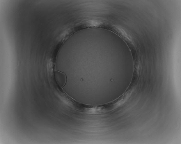 X0000112030366200908171455